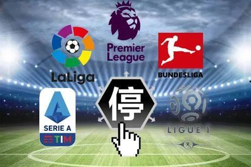 五星体育爆料最新消息今天,今日热点事件最新进展揭秘  第1张